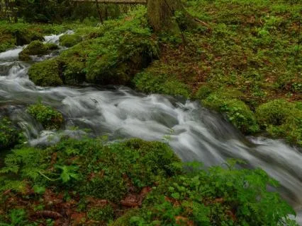 Let Peace Flow: Calm & Inner Steadiness
