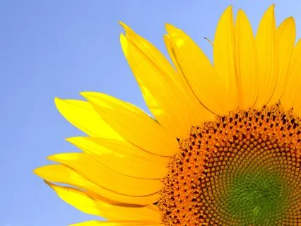 Let's Go!  Energizing Pick Me Up To Start The Day