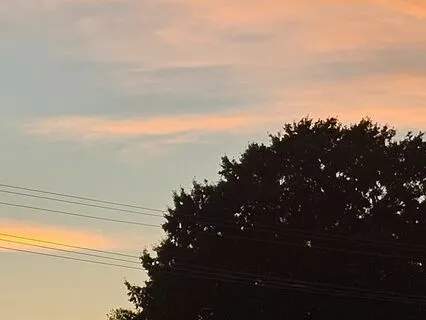 Let's Heal And Let Trauma Go