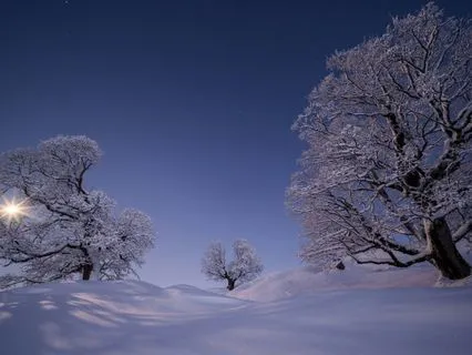 Let's Hibernate: Cozy & Safe Winter Rest