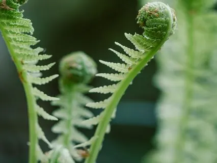 Let's Start Here - Foundations For New Meditators