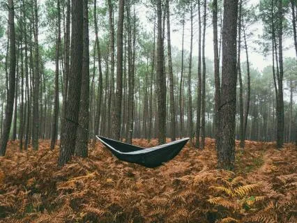 Let Sleep Find You ~ 8 Hour Deep Sleep Meditation