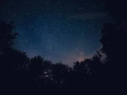 Let The Forest Hold You (Feel Safe, Held, & Cared For)