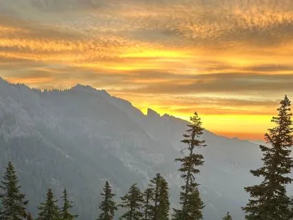 Let The Light In: From Self-Criticism To Self-Compassion