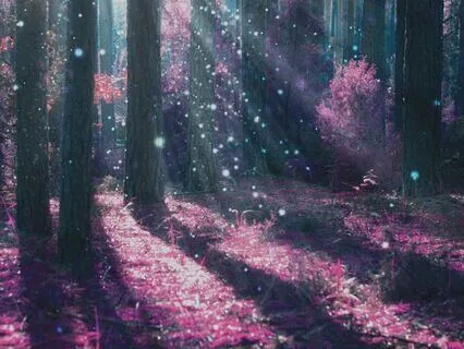 Let The Mystery Hold You Meditation