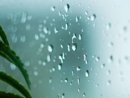 Let The Rain Carry You To Sleep, Fall Asleep Fast