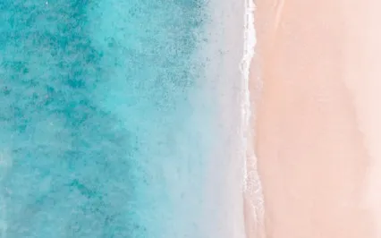 Let The Resistance Go