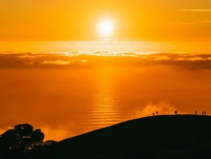 Let The Sun In