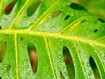 Let The Weather Move Through You: Let Life In