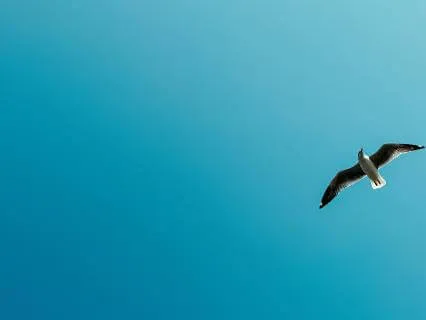 Self Acceptance Self Acceptance