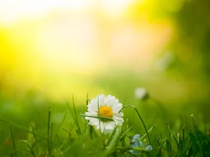 Minderful: Let There Be Mood Light