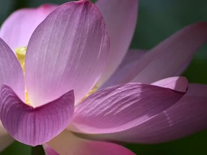 Let There Be Peace | Om Shanti