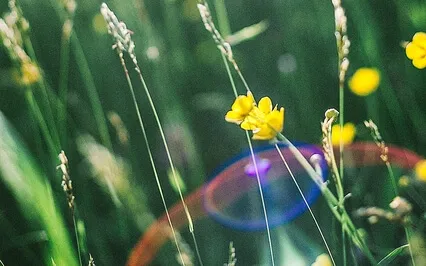 Let This Breath Remind You