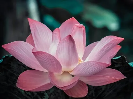 Let This Moment Be What It Needs To Be