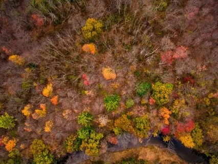 Let This Space Be A Balm