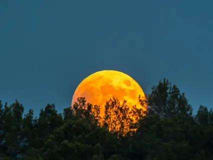 Let Today's Blood Moon Guide Your Transformation