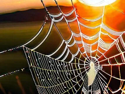 Let Us Breathe Together