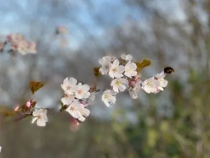 Let Your Body Let Go Of The Day