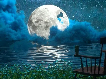 Let Your Dreams Drive Your Day