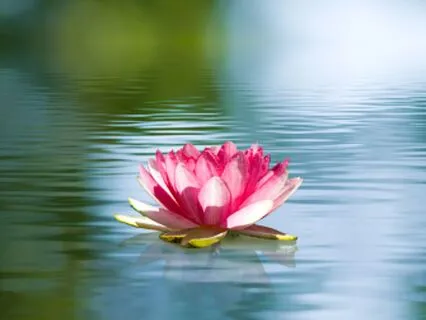 Let Your Heart Be Known: Giving & Receiving Love