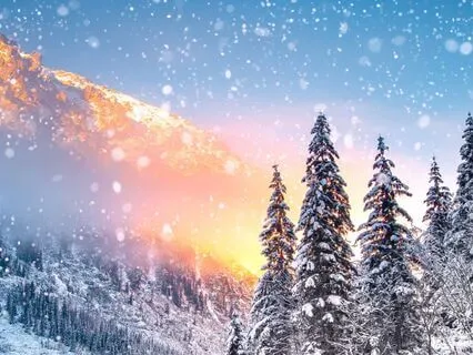 Let Your Heart Rest - Holiday Edition