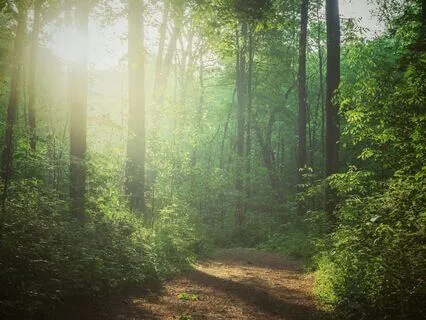 Let Your Heaven In - Calming Poetry