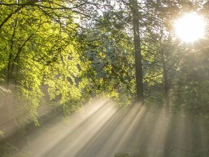 Let Your Light Shine Meditation For Confidence