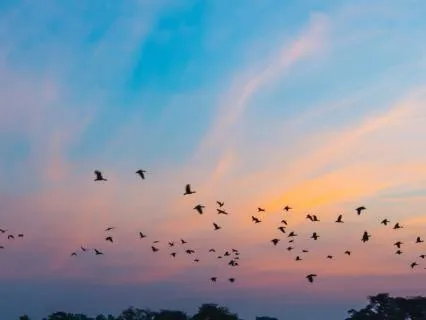 Let Your Mind Rest: Reset & Relax