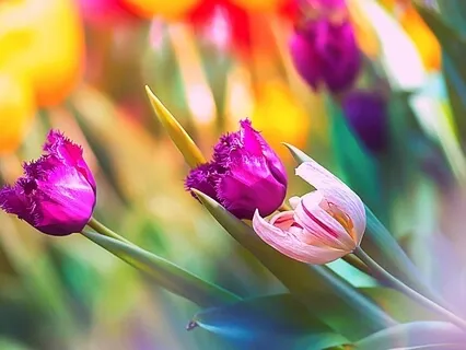 Let Your Silver Light Shine