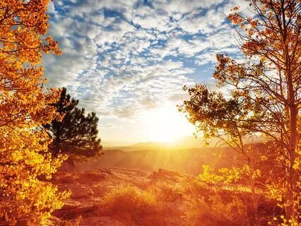 Let Your Soul Speak 741 + 852 + 963 Hz Tuning Forks (Lambda)