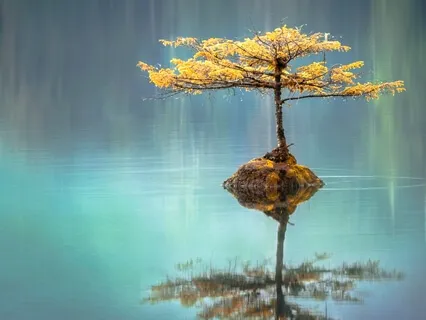 Let Your Whole Body Breathe