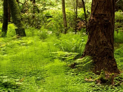 Let Yourself Be Found