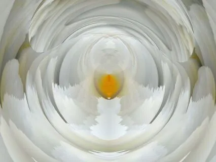 Let Yourself Be Seen (Acapella)