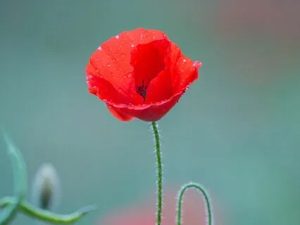 Let Yourself Want What You Want