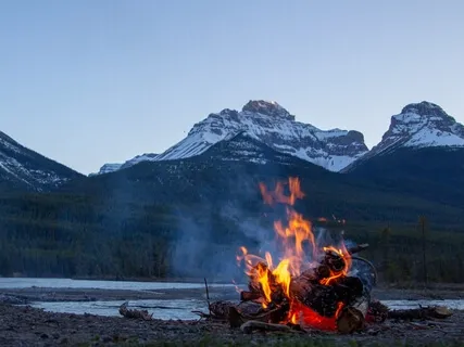 Let Us Calm Down & Check In 