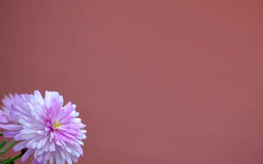 Let's Capture The Moments Of Answered Prayer