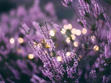 Let's Do Some Chakra Work Today!