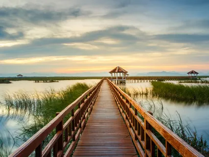 Let's Explore The Emotional Body Within 