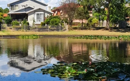 Lets Get Physical! Movement, Breathwork & Affirmations