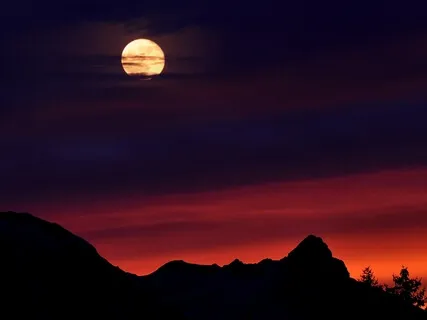 Let's Go Back To Sleep