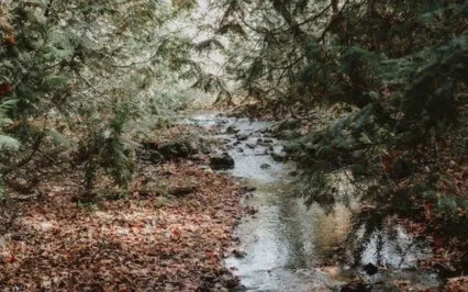 Let's Ground & Recentre