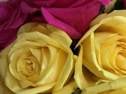 Let's Manifest Stuff!