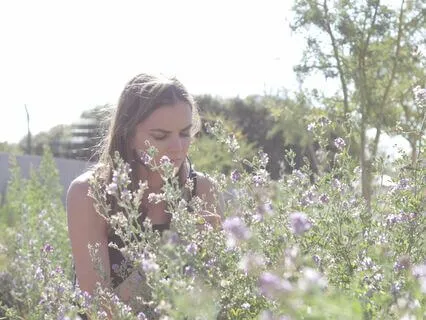 Lets Rest Amongst The Trees