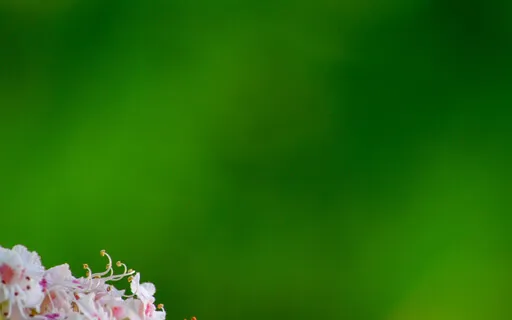 Let's Seek To See All Others As God Sees Them