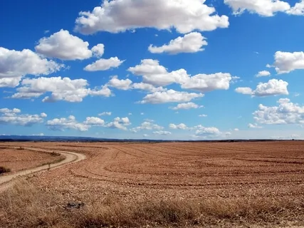 Let's Self-Construct