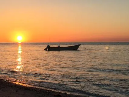 Let's Shift! -Powerful Affirmations, Uplifts Mood & Health