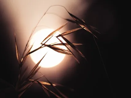 Let's Shine Together