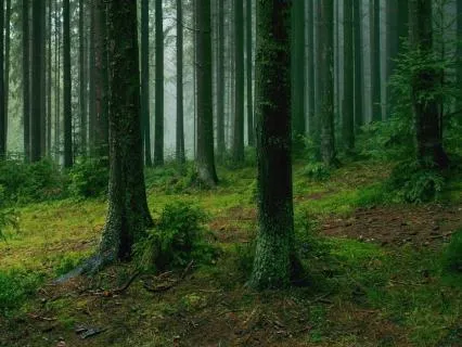 Lets Start A 10 Week Journey