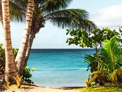 Let's Take A Walk On A Beach