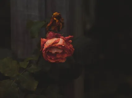 Let's Talk About Death_3